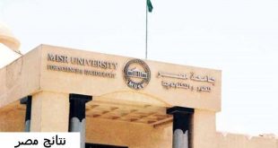رقم جامعة مصر للعلوم والتكنولوجيا